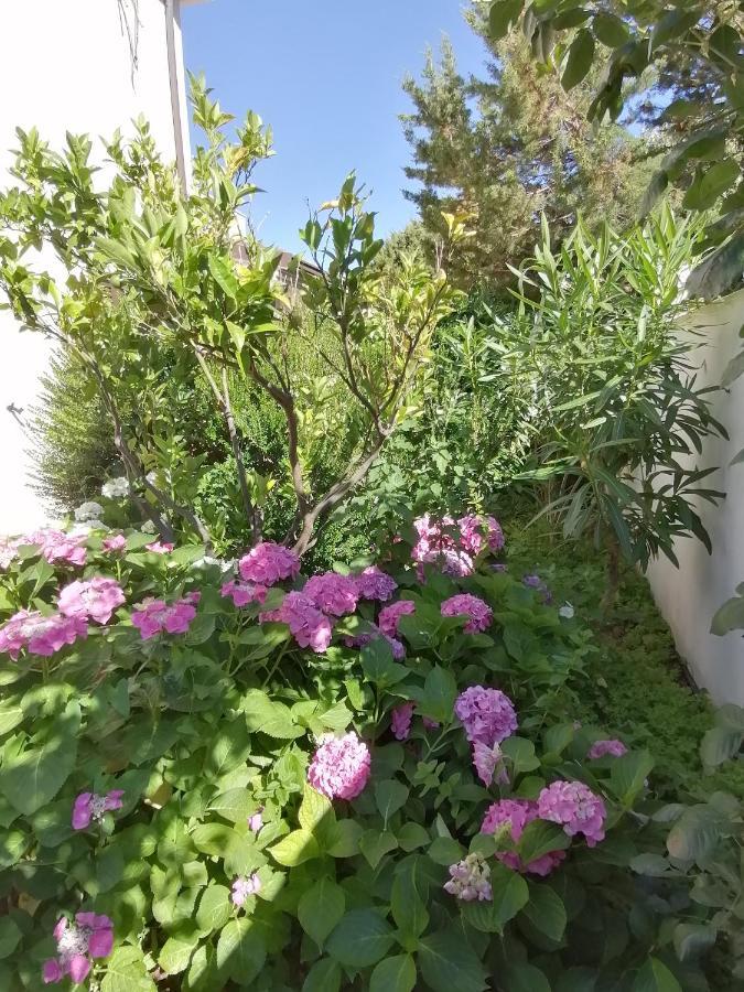 קאלה גונונה Casa Vacanze Villa Rosa מראה חיצוני תמונה